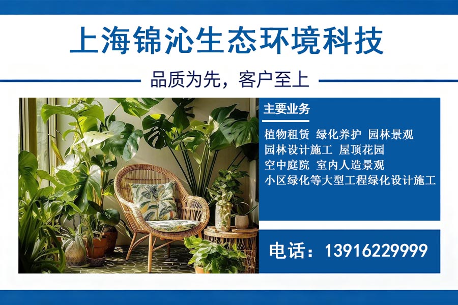 锦沁生态虹口线上分站